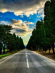 Viale dei Cipressi @Bolgheri