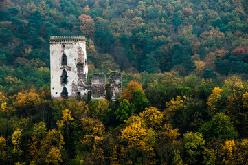 medieval castle in the forest. ancient ruined tower. dilapidated fortress. ruins of a knightly...