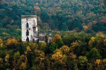 medieval castle in the forest. ancient ruined tower. dilapidated fortress. ruins of a knightly fortification. remains of the citadel