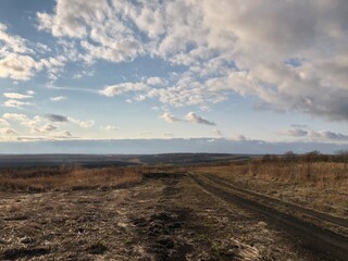 morning in the fields