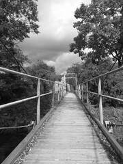 Fototapeta na wymiar bridge in the woods