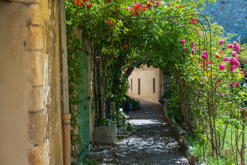 Fototapeta na wymiar Street of a village during summer in Provence