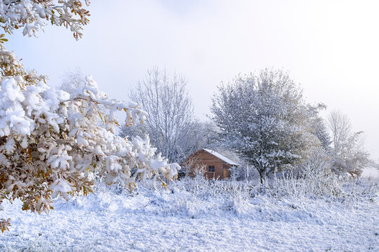 Winter snow with wood hut. Cozy cabin in a garden for quiet life, France.