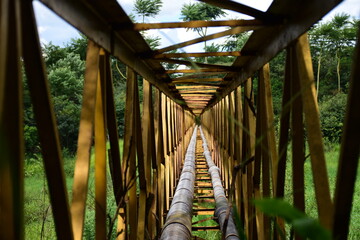 bridge in the jungle