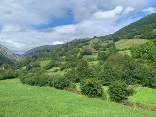 Obraz premium landscape with green grass and sky