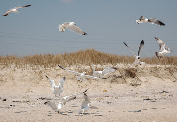 Outer Banks