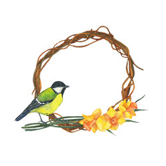 Wreath with titmouse bird and daffodils isolated on white background. Watercolor hand drawing illustration. For card, poster, print, design. Yellow spring flower frame. Copy space.