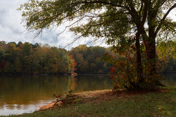 Obraz premium Falls Lake in North Carolina in late Octboer
