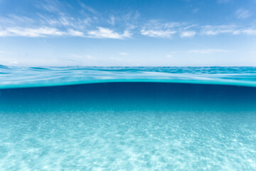 Fototapeta na wymiar Over-under photo of surface and clear water on a beach in hawaii