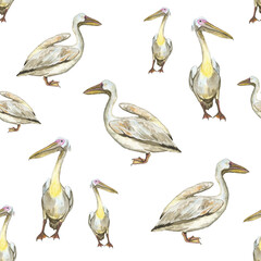 Seamless pattern of pelican birds on white background. Watercolor hand drawing illustration for digital paper, textile, fabric, wallpaper. Tropic white Pelecanus rufescens in realistic style.