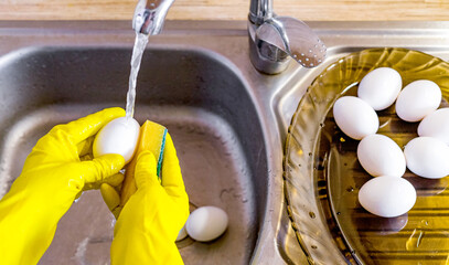 Washing fresh eggs in the kitchen sink using gloves and a sponge for washing.