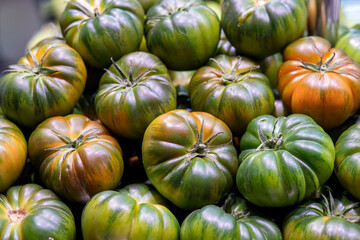 tomatoes on the vine