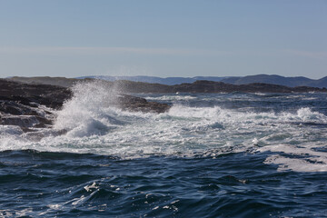 Gjesvaer islands - fames place for seabirds nesting, Finnmark, Northern Norway