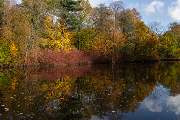Obraz premium autumn landscape of colorful trees surrounding a forest pond