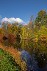 forest pond surrounded by autumn trees