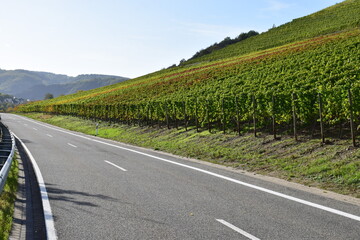 Straße durch die Weinberge über Klotten an der Mosel