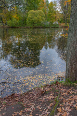 Fototapeta na wymiar autumn landscape of colorful trees surrounding a forest pond