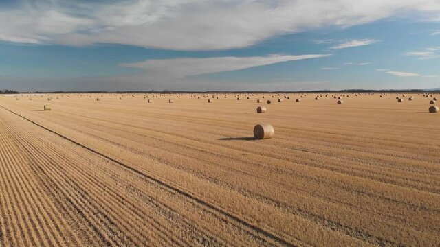 Drone flying just above a farm field that has round straw bales under a bright blue sky with white clouds. The grass is a golden-brown color. 
