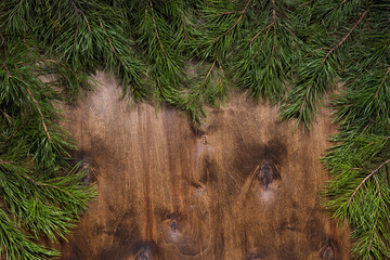 Pine tree branches on dark brown wooden background. Copy space for Christmas greetings. Top view, flat lay