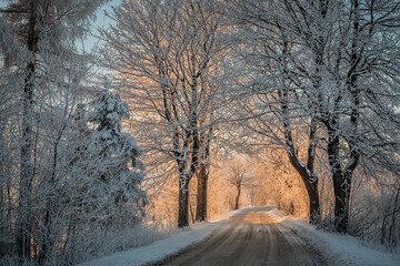 Zimowa droga do słońca.