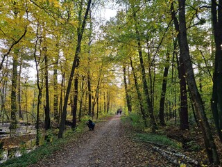Jesienny spacer