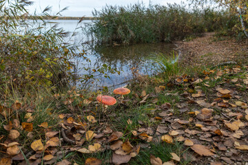 Cospudener See im Herbst