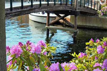 wundersch&ouml;ne Holzbr&uuml;cke &uuml;ber fluss mit BLumen 
