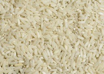 Rice closeup photos.White rice.