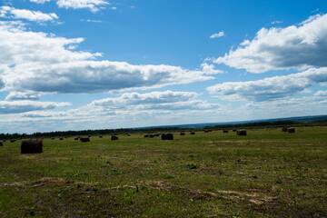 a shock of hay on the field