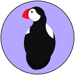 Puffin in Purple Background