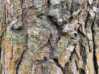 texture