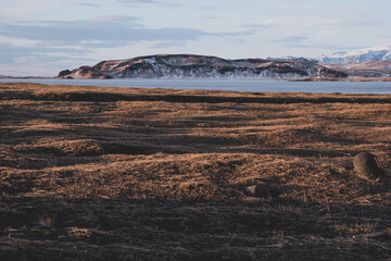 Landscape in Iceland	