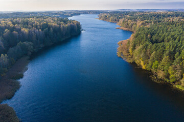 Autumn lake landscape with pine trees, aerial bird-eye view