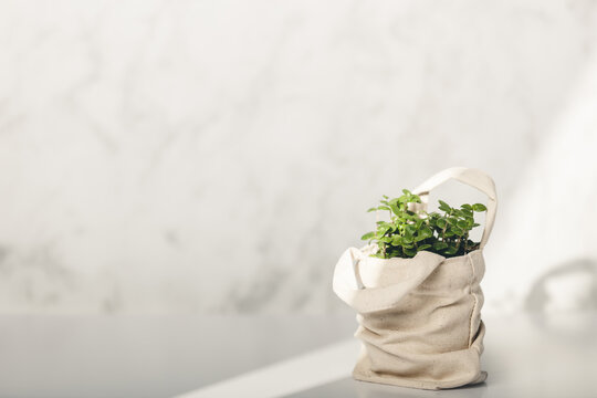 Baby plant against white marble wall in tote bag. Home decor, zero waste, eco friendly sustainable life style concept