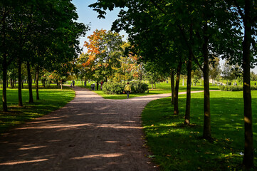 Fototapeta na wymiar beautiful autumn alley. orange park. beautiful path between trees.