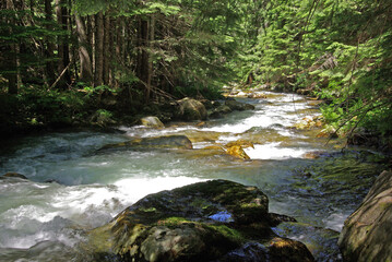 National Forests.  St. Joe National Forest, Idaho.  Boulder Creek