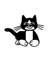Eine schwarz-weiße Katze