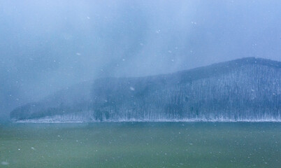 Flurry At the Allegheny National Forest