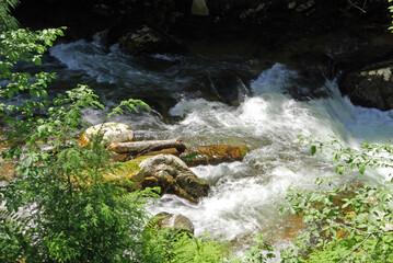 National Forests. St. Joe National Forest Idaho.  Boulder Creek