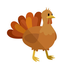 Vector flat design Thanksgiving Turkey