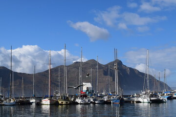 boats in the harbour of Hout Bay in Capetown South Africa.