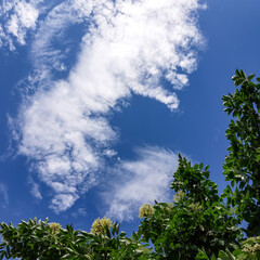 Obraz premium sky and clouds