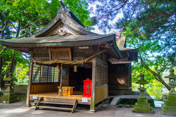 Fototapeta premium 天祖神社