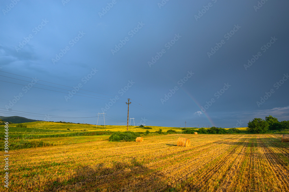 Wall mural rainbow in the summer