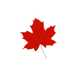 autumn dry leaf on white background