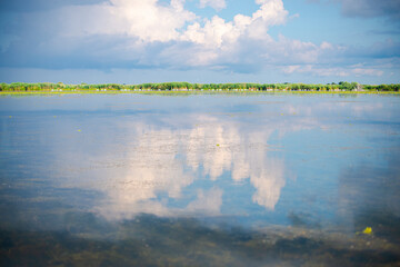 Landscapăe in Danube Delta