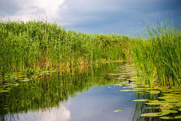 Landscapăe in Danube Delta
