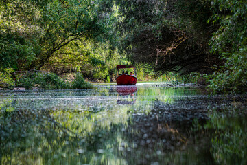 Landscapăe in Danube Delta