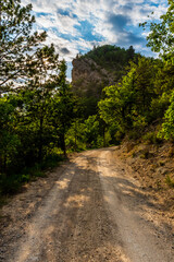 Fototapeta premium A picturesque view of a hiking path/rural road in the French Alps mountains on a sunny summer evening (Puget-Theniers, Alpes-Maritimes, Provence, France)