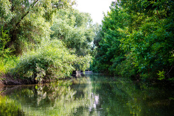 Landscapăe in Danube Delta